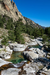 Fototapeta na wymiar Gorges de la Restonica Corsica