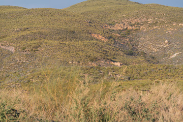 Fototapeta na wymiar mountainous landscape in the Alpujarra (Spain) 