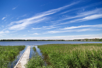 Lake overgrown with reeds. Nature landscape, view of a reservoir with banks overgrown with lush vegetation.