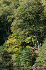 Fototapeta na wymiar Vaux de Cernay stream in the Upper Chevreuse Valley Regional Nature Park