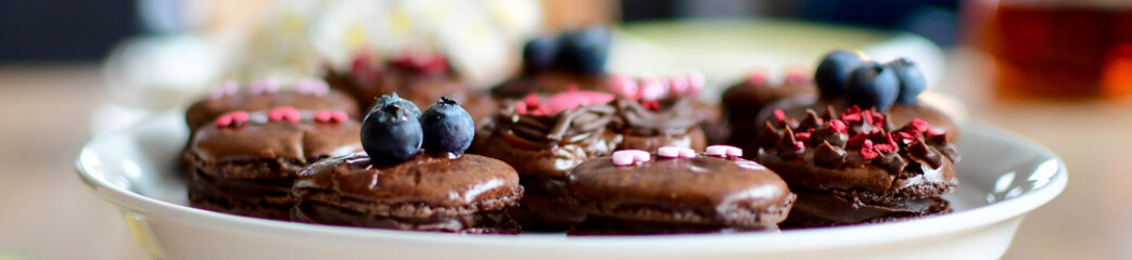 wide banner for homepage choco macaron delicious on a plate 