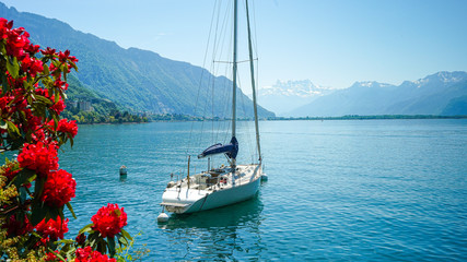 Flowers and Boat along the lake in Montreux, Switzerland. 
