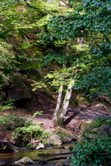  Vaux de Cernay stream in the Upper Chevreuse Valley Regional Nature Park