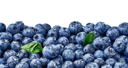 Fresh blueberry background. Blueberry leaves with berries and drops. Top view. Concept of healthy and dieting eating. Blue texture of blueberries.