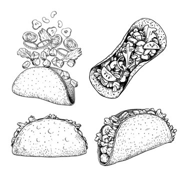 Tacos set. Hand drawn sketch illustrations of traditional mexican food. Top, front and perspective view and tacos constructor with flying ingredients. Vector drawing isolated on white.