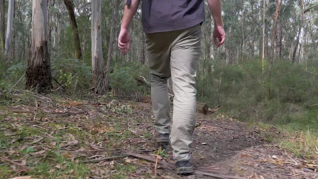 A down low stabilized shot of a mans legs walking through a bush track in Australia.