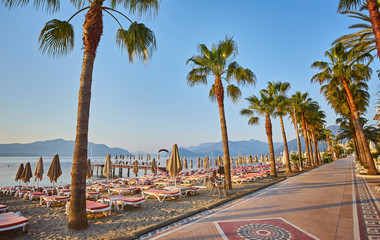 Beautiful promenade with palm trees in Marmaris © Ryzhkov Oleksandr