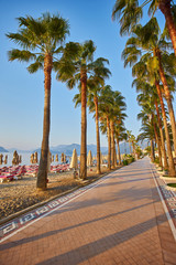 Beautiful promenade with palm trees in Marmaris © Ryzhkov Oleksandr