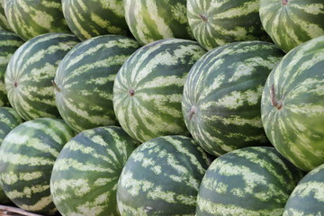 watermelons on market