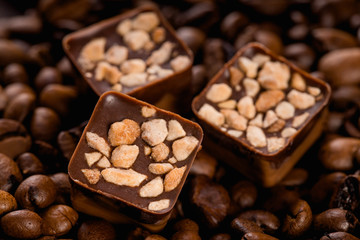 still life of various delicious chocolate pralines on dark textured background