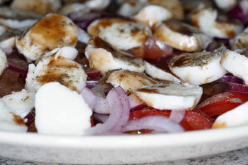 Mozzarella salad with tomato