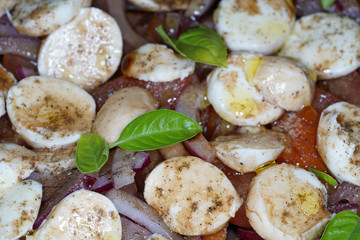 Mozzarella salad with tomato