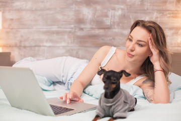 Business woman in pajamas working on laptop sitting comfortable in bed with her dog.