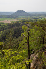 Obraz premium Waitzdorfer view in the early morning