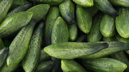 fresh cucumbers in a market