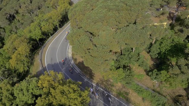 Aerial Drone follow-up view of a group of cyclist going down a serpenting road in the mountain woods 