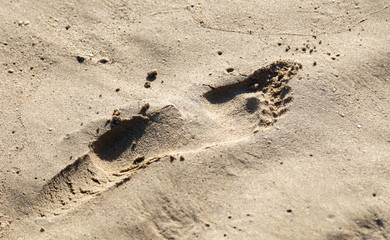 Traces of man on the sand in the tropics.