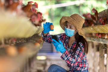 Asian farmers inspect and record the quality data of the chicken eggs using a phone in eggs chicken farm. © tong2530