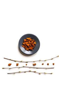chaga mushroom. composition of small dry pieces of birch tree fungus chaga in a round plate and birch twigs isolated on a white background. concept of alternative natural medicine. vertical image