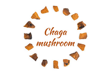 chaga mushroom. large sliced pieces of birch tree chaga fungus arranged in a circle are isolated on...