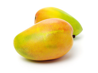 Mango on a white background
