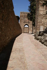 El Reales Alcazares &agrave; Malaga en Andalousie en Espagne
