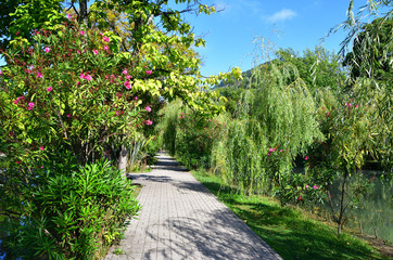 Obraz premium Abkhazia. City Park in New Athos in summer sunny day