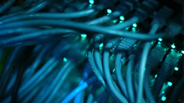 Utp cables, Rj 45, connections, wires of working server, switch, computer. 10/100/1000 Mbps speed.