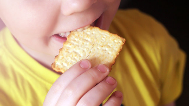 The boy is eating cookies, the portrait is very close