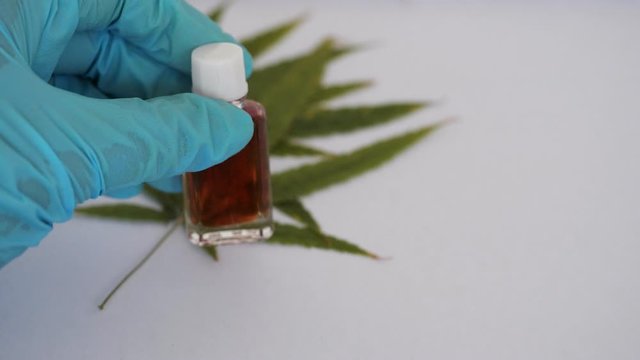 The hand wearing blue gloves Holding a small glass bottle containing water, extracting hemp extracts.  Have  cannabis leaves on background.