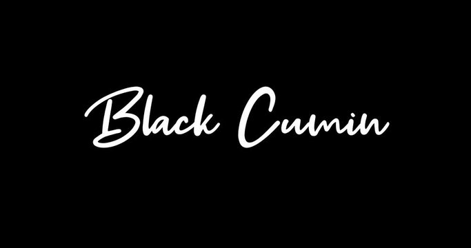 Black Cumin Animated Appearance With White Color Calligraphy Text Transition on Black Background
- 4K Resolution