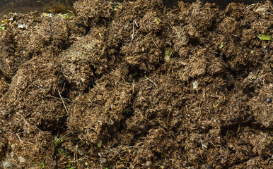texture of the ground
