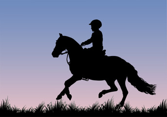 little girl riding a Welsh pony, grass field, children's equestrian sport, isolated black silhouette against the sky, dawn