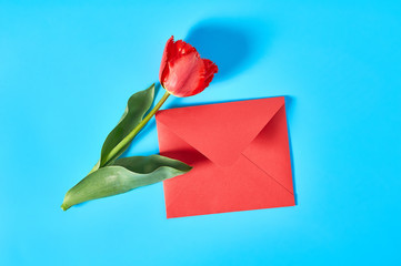 Beautiful red tulip near closed envelope on blue background. Concept of celebrating valentine's, mother day or easter