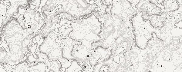 Abstract topographic map. Topo contour map background concept - obrazy, fototapety, plakaty