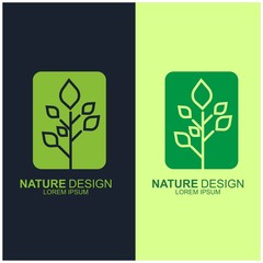 Leaf design logo Template