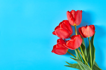 Bouquet of beautiful red tulips on blue background. Concept of celebrating valentine's, mother day or easter