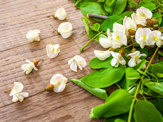 acacia flowers and leafs arranged on a wooden table