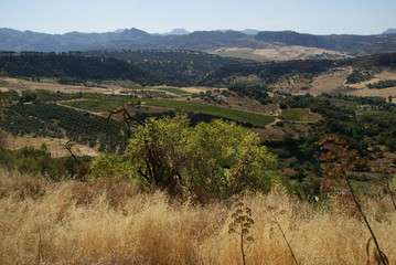 Ronda en Andalousie en Espagne