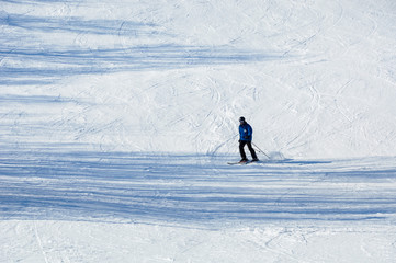 Skier in the snow