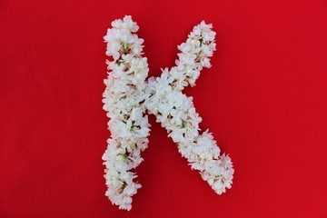 Letter K made from flowers of white lilac on a red background. Flowers composition. Flat lay. Letter K made of white flowers. Spring concept. Floral letters of the alphabet for design and decorati