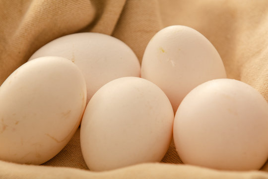Image of a basket of organic eggs. Free-range eggs concept