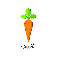 colorful carrot icon on white background. vector, illustration