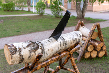 hand saw for two in a birch log
