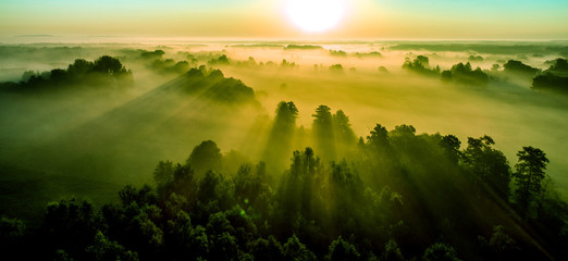 Fototapeta wschód słońca nad lasem we mgle obraz