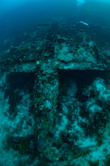 wreck of plane US Airforce P-47 thunderbolt upside down on a coral reef