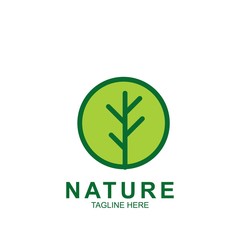 Leaf design logo Template