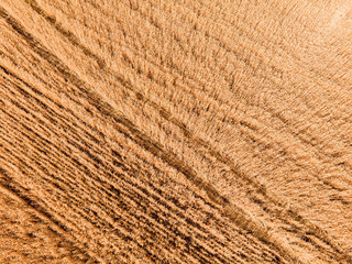 Aerial view of wheat field and tracks from tractor agricultural texture