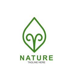 Leaf design logo Template