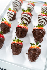 Chocolate dipped strawberries
